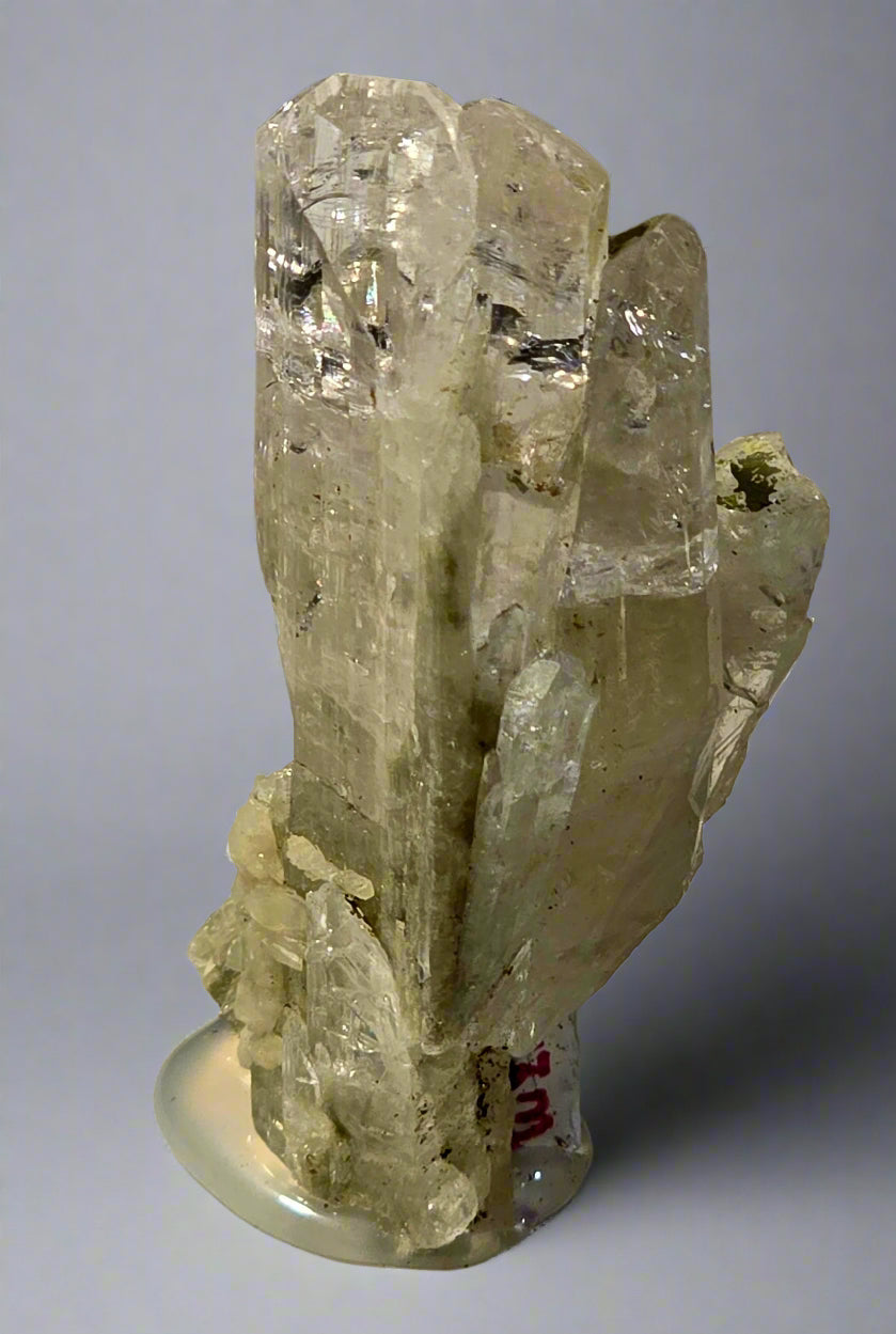 DANBURITE (miniature)