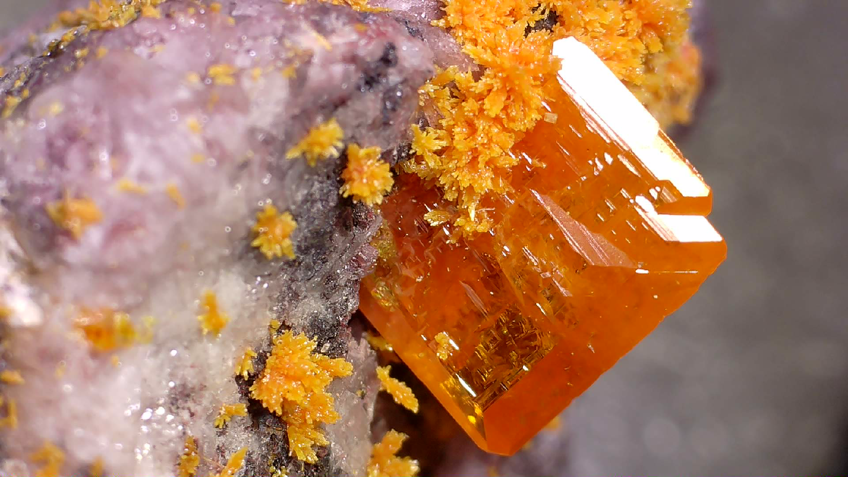 WULFENITE (miniature)