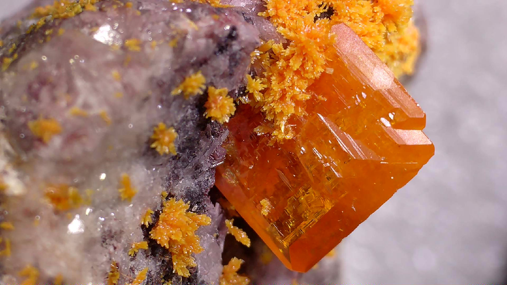 WULFENITE (miniature)