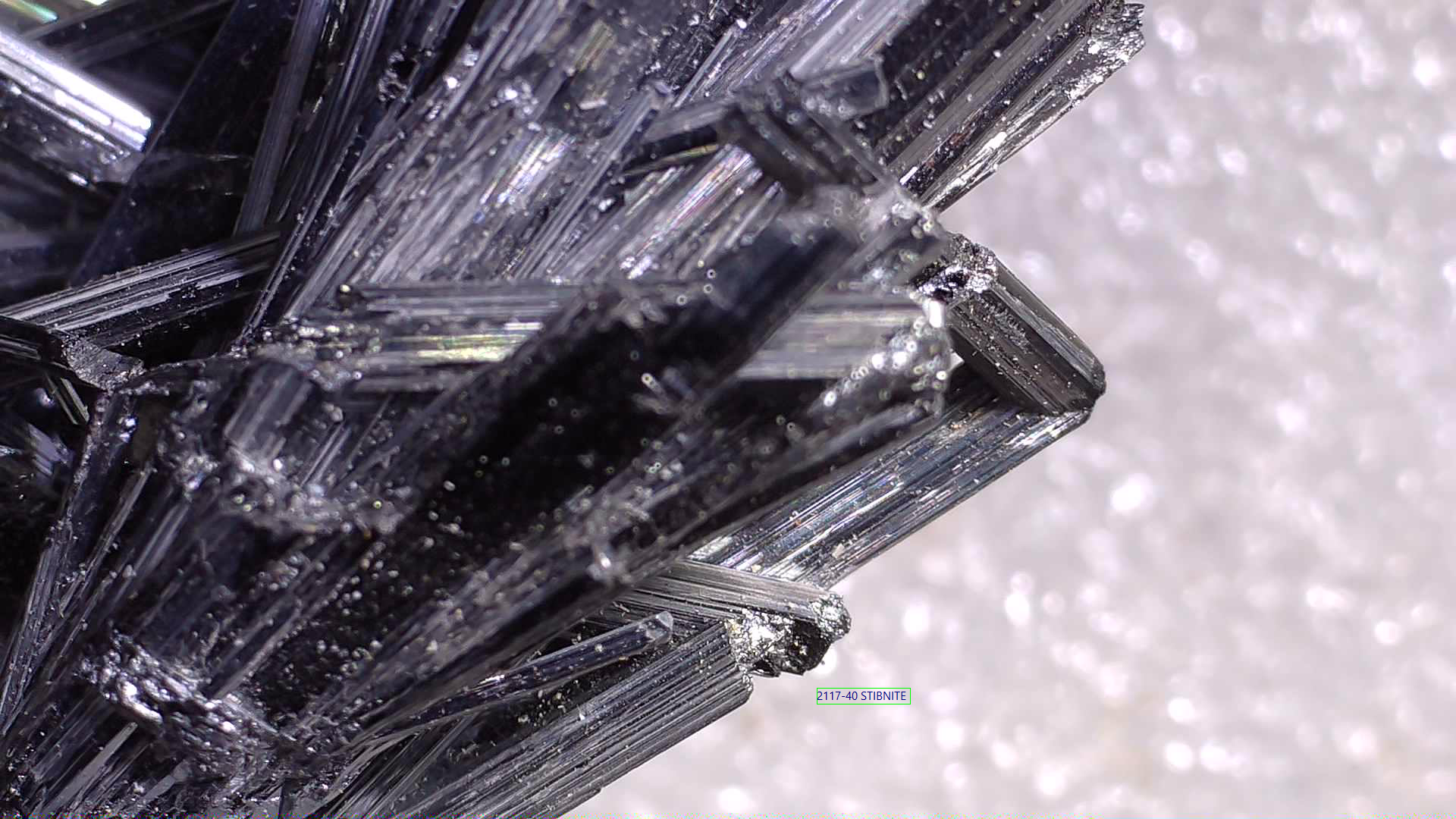 ANTIMONITE-STIBNITE (miniature)