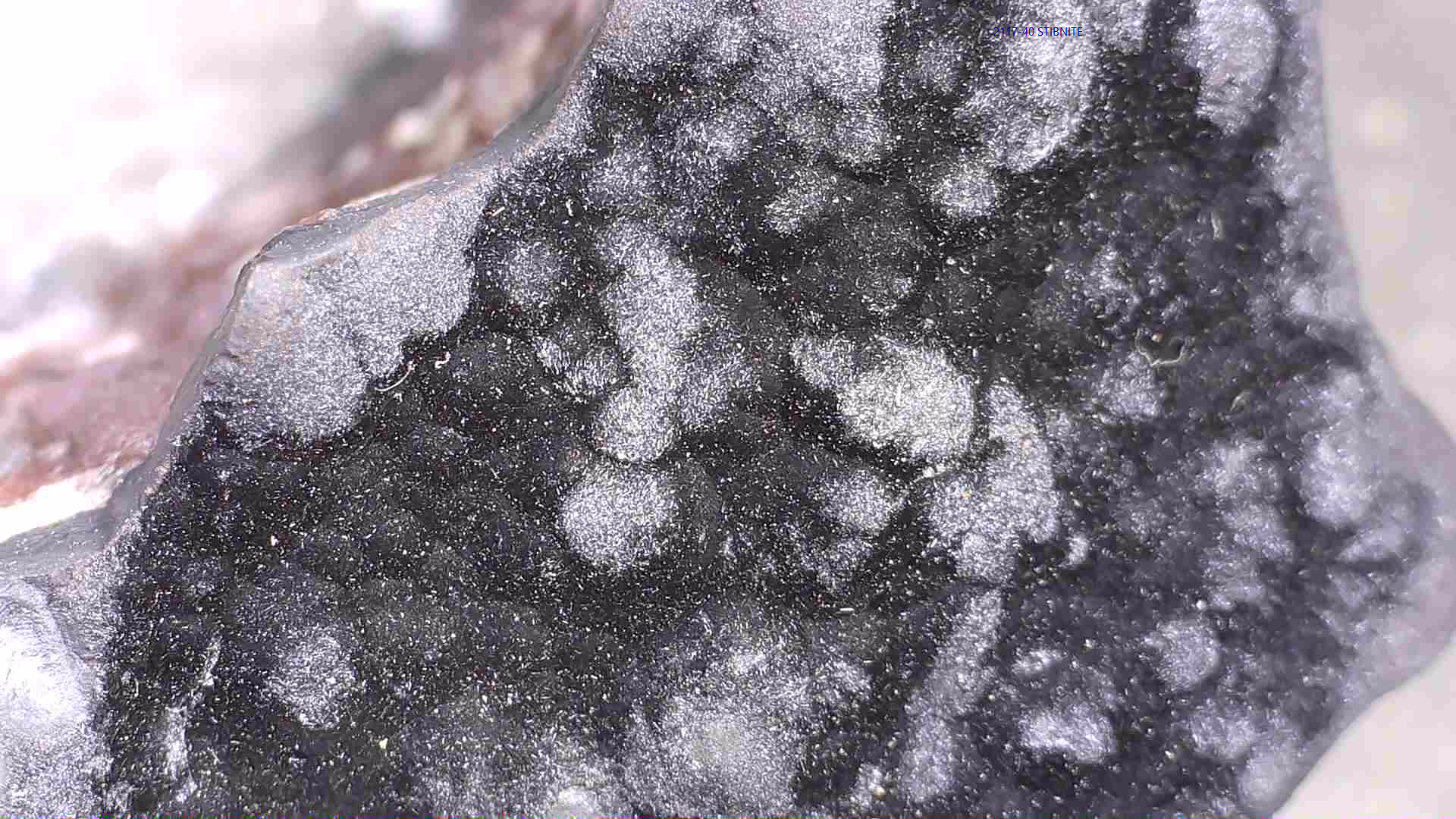 HOLLANDITE (miniature)