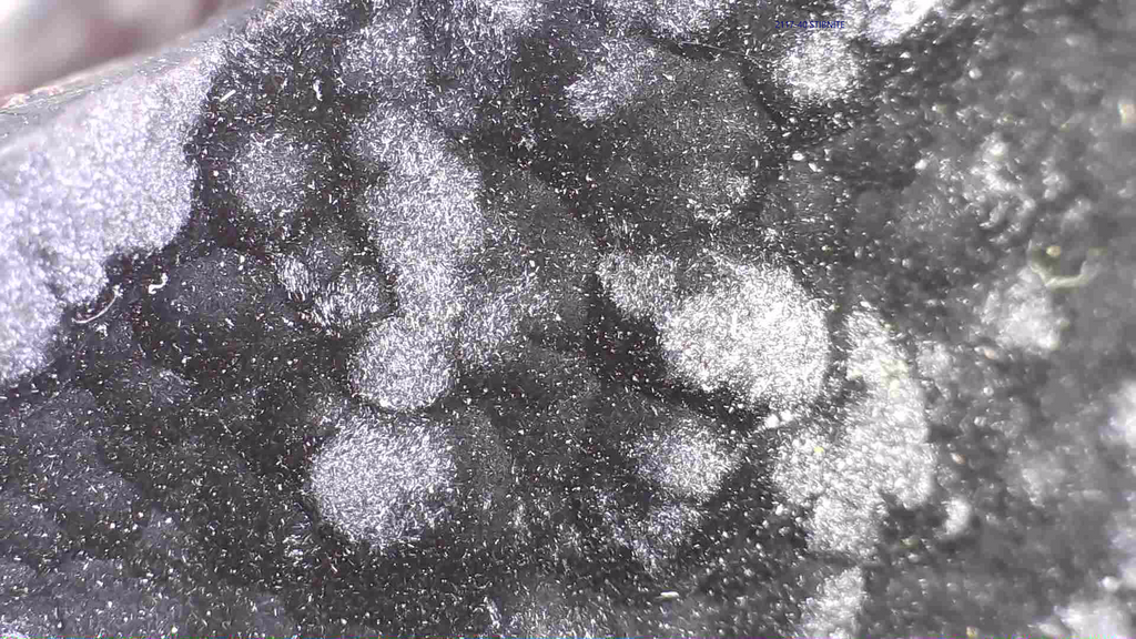 HOLLANDITE (miniature)