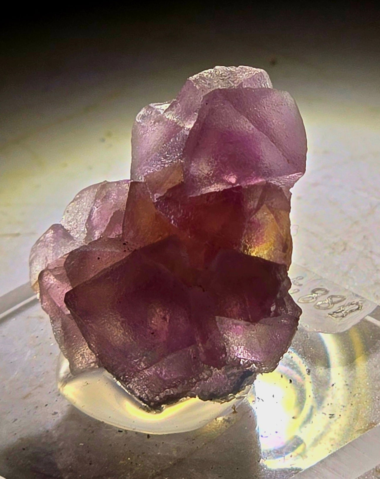 FLUORITE (miniature)