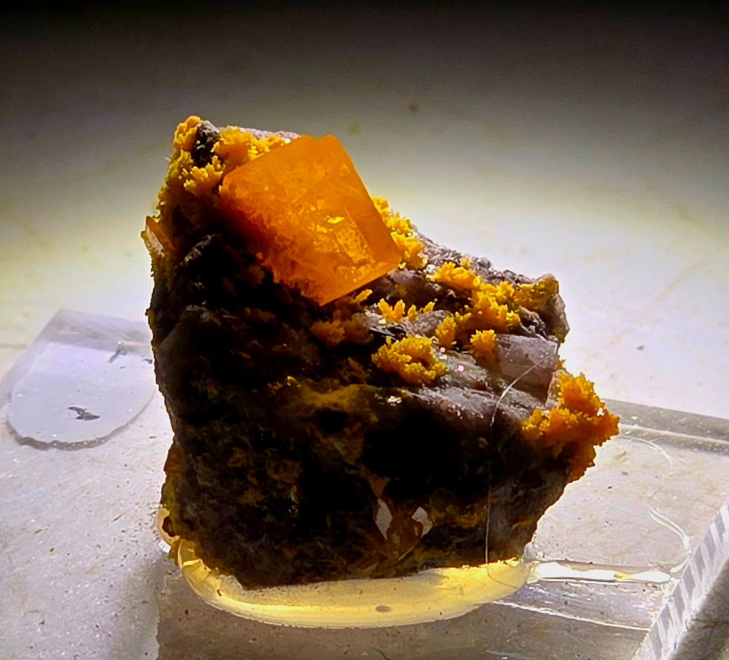 WULFENITE (miniature)