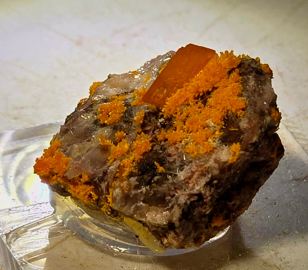 WULFENITE (miniature)
