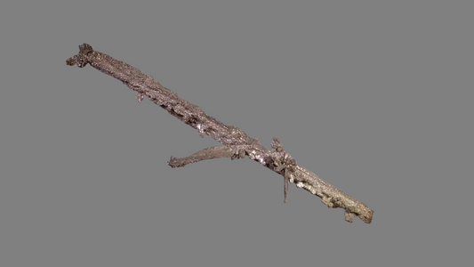 SILVER (micromount)