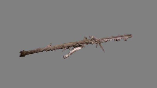 SILVER (micromount)