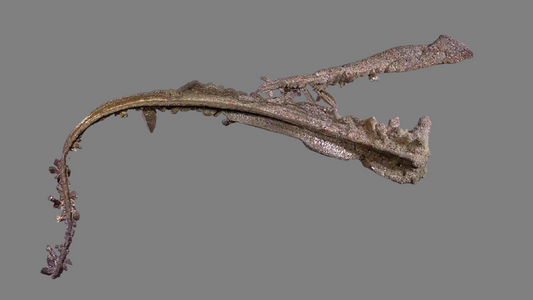SILVER (micromount)