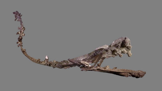 SILVER (micromount)