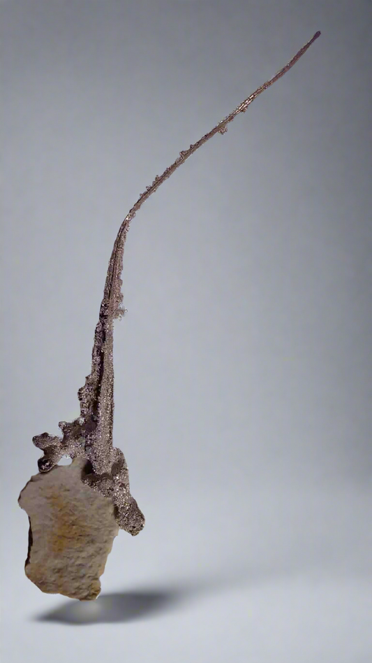 SILVER on MATRIX (micromount)