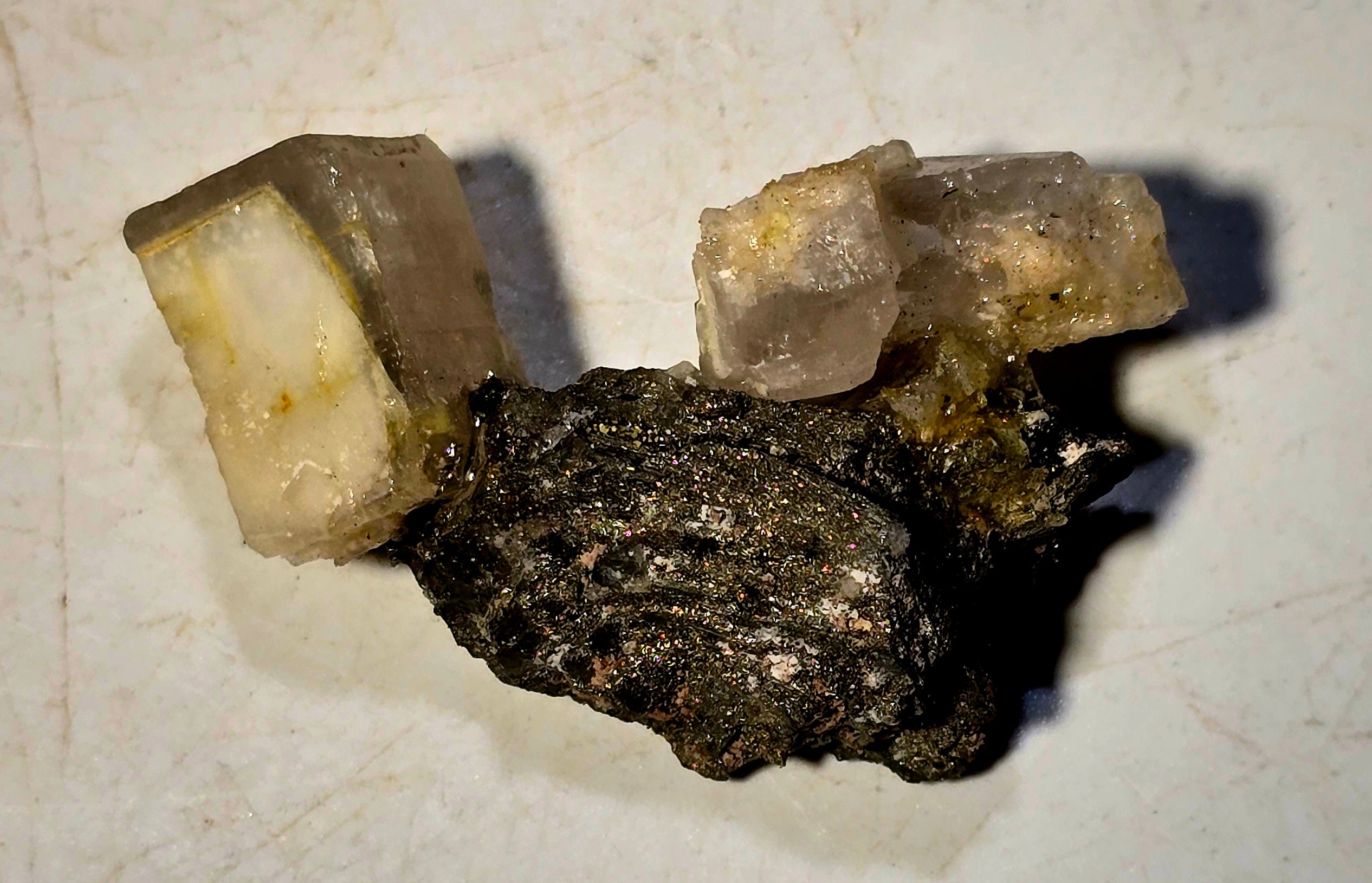 BLÖDITE with HALITE (miniature)