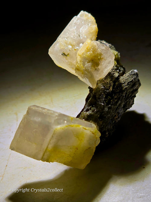 Fluorite crystals with yellow inclusions on matrix, mineral specimen for collectors