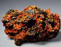 CROCOITE, RED LEAD MINE, TASMANIA (miniature)
