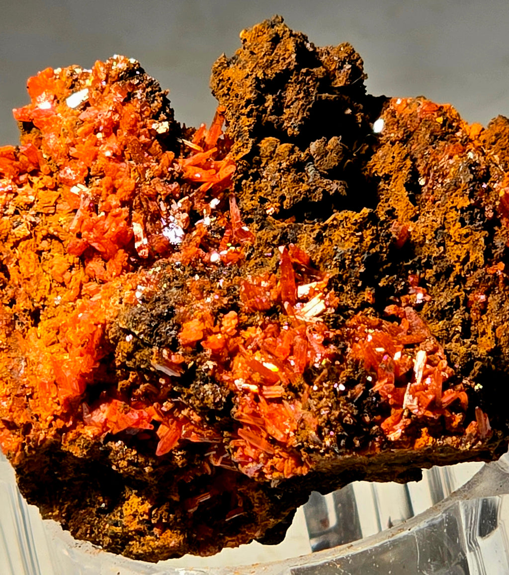 CROCOITE (miniature)