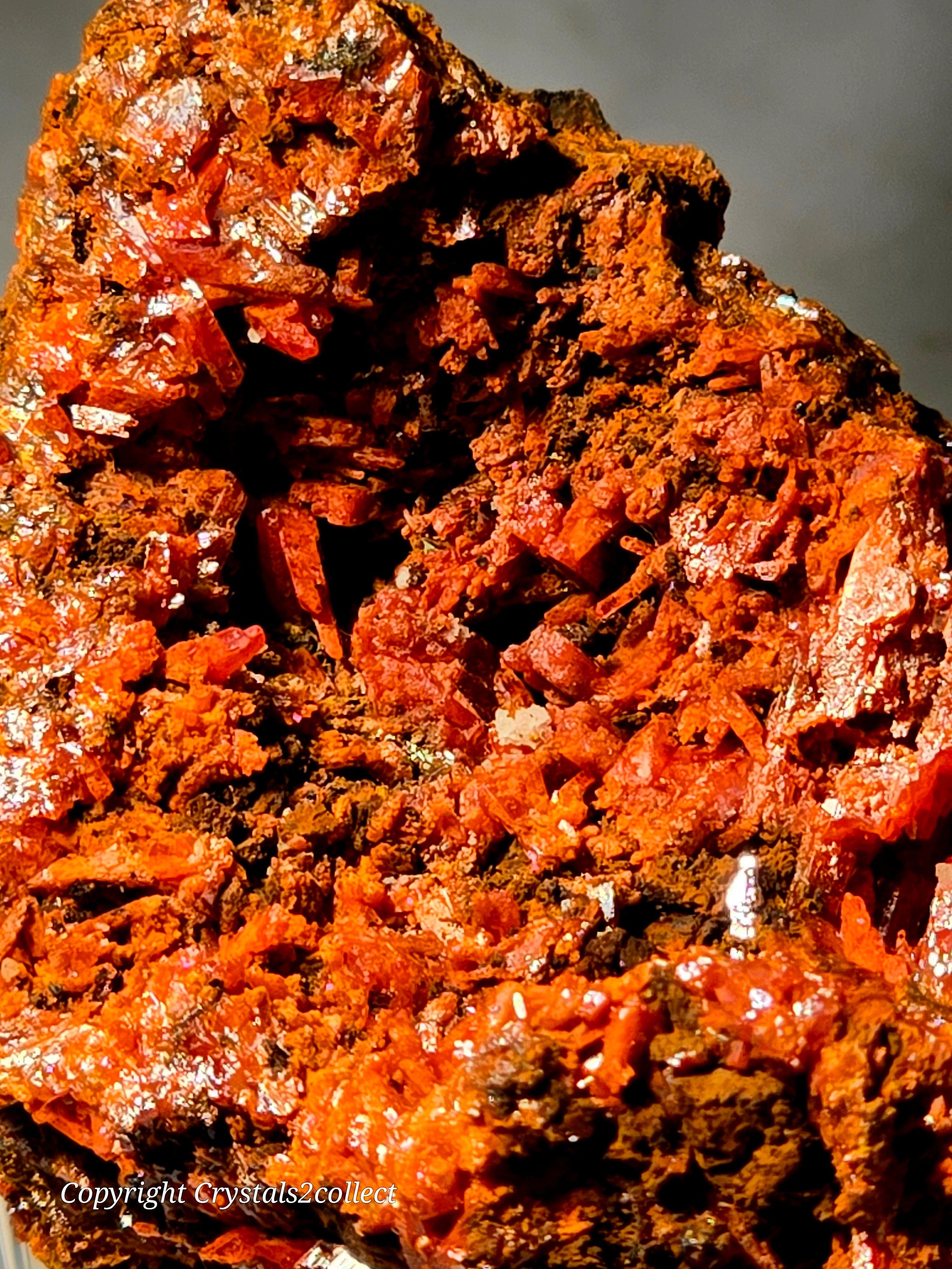 CROCOITE (miniature)