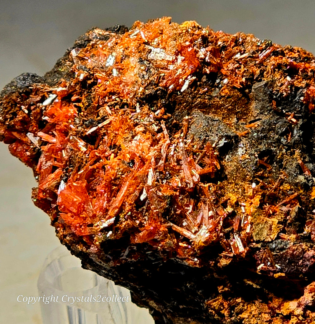 CROCOITE (miniature)