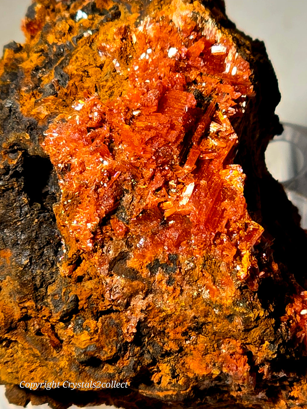 CROCOITE (miniature)
