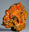 CROCOITE, MINE DE PLOMB ROUGE, TASMANIE (miniature)