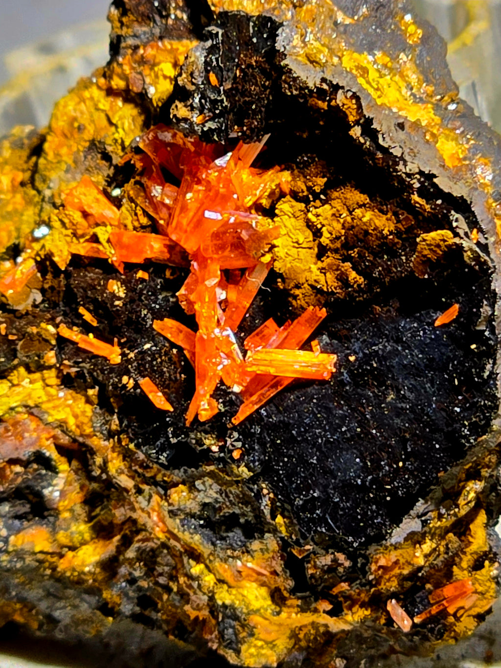 CROCOITE (miniature)