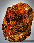 CROCOITE, MINE DE PLOMB ROUGE, TASMANIE (miniature)