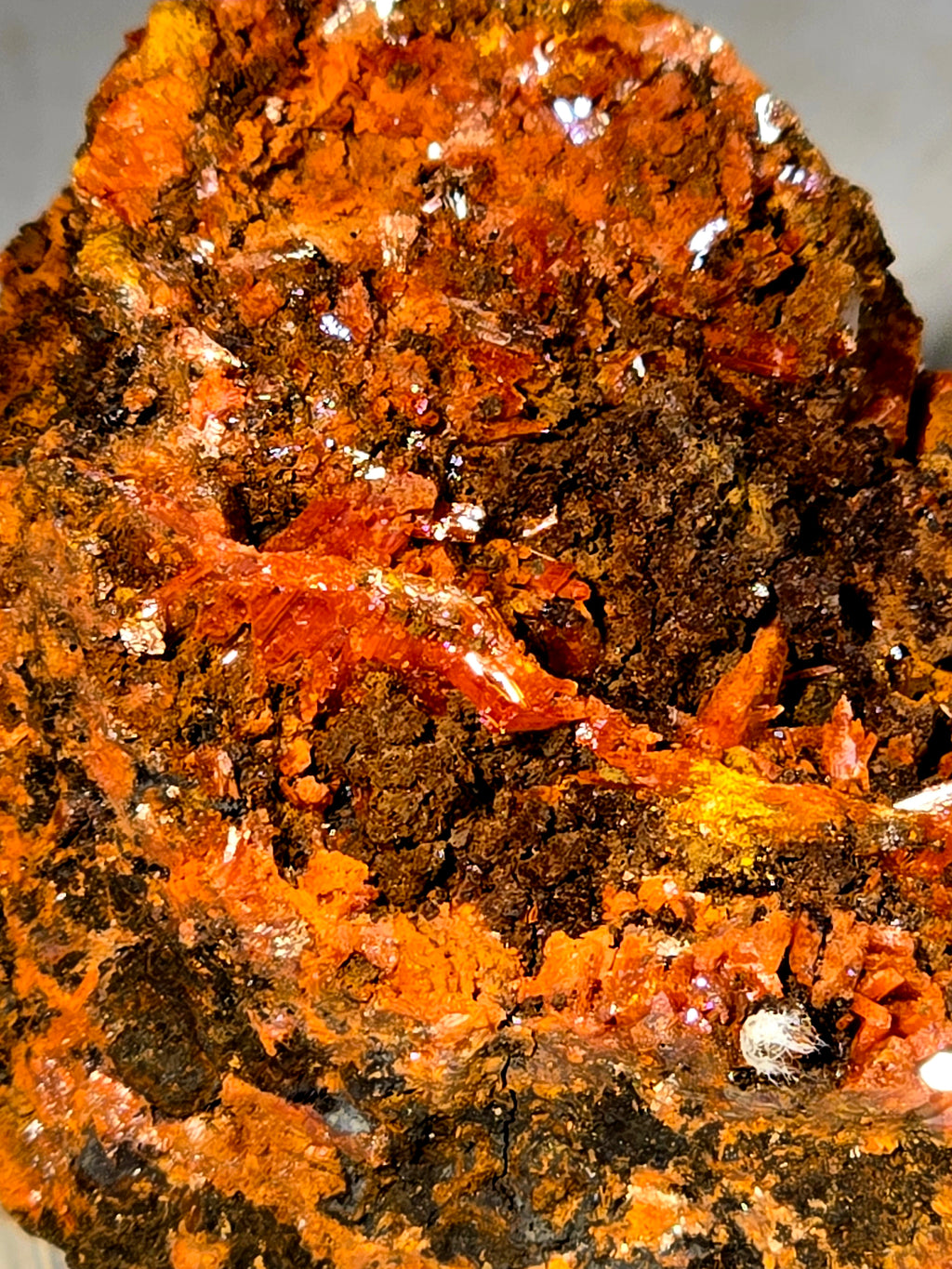 CROCOITE (miniature)