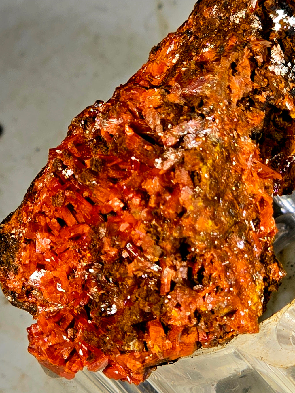 CROCOITE (miniature)