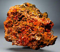 CROCOITE, MINE DE PLOMB ROUGE, TASMANIE (miniature)