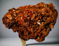 CROCOITE, MINE DE PLOMB ROUGE, TASMANIE (miniature)