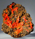 CROCOITE, MINE DE PLOMB ROUGE, TASMANIE (armoire)