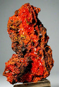 CROCOITE, MINE DE PLOMB ROUGE, TASMANIE (armoire)