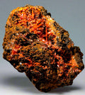 CROCOITE, RED LEAD MINE, TASMANIA (small cabinet)