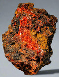 CROCOITE, RED LEAD MINE, TASMANIA (small cabinet)