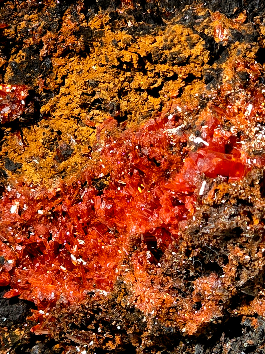 CROCOITE (small cabinet)