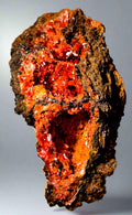 CROCOITE, RED LEAD MINE, TASMANIA (cabinet)