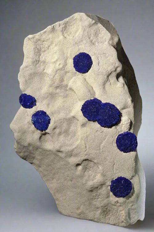 Azurite on Limestone from Arizona, vibrant blue botryoidal clusters on light matrix