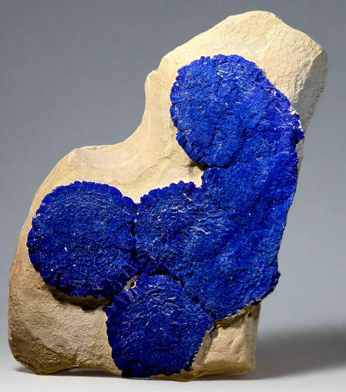 Vibrant blue azurite mineral specimen on beige matrix, showcasing rich crystalline formations for collectors.