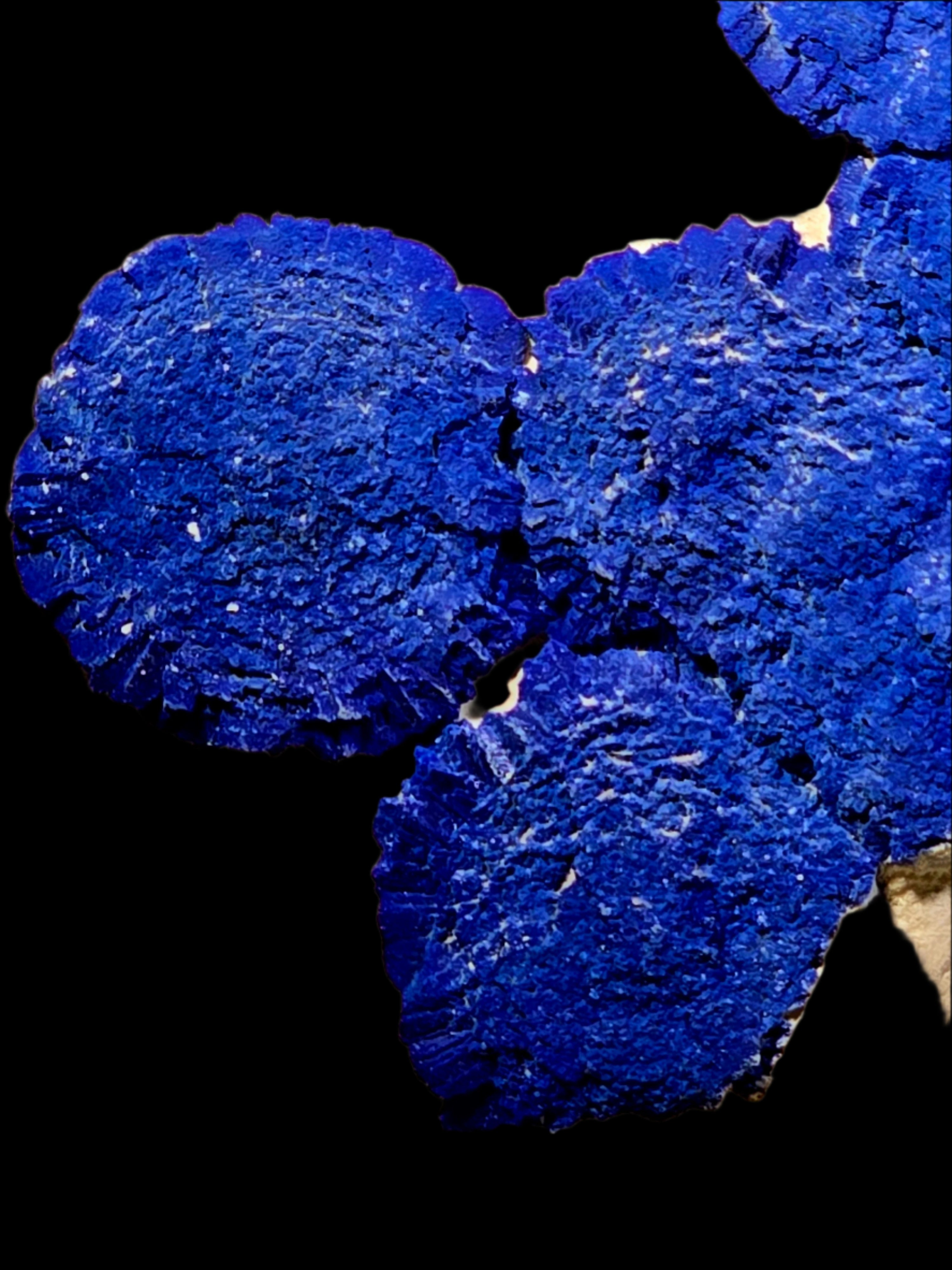 AZURITE ROSETTES (small cabinet)