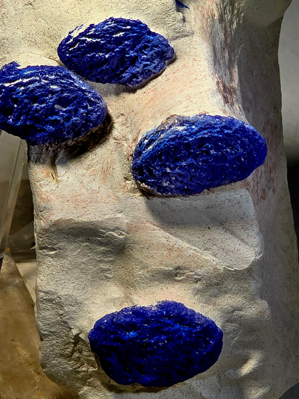 AZURITE ROSETTES (cabinet)