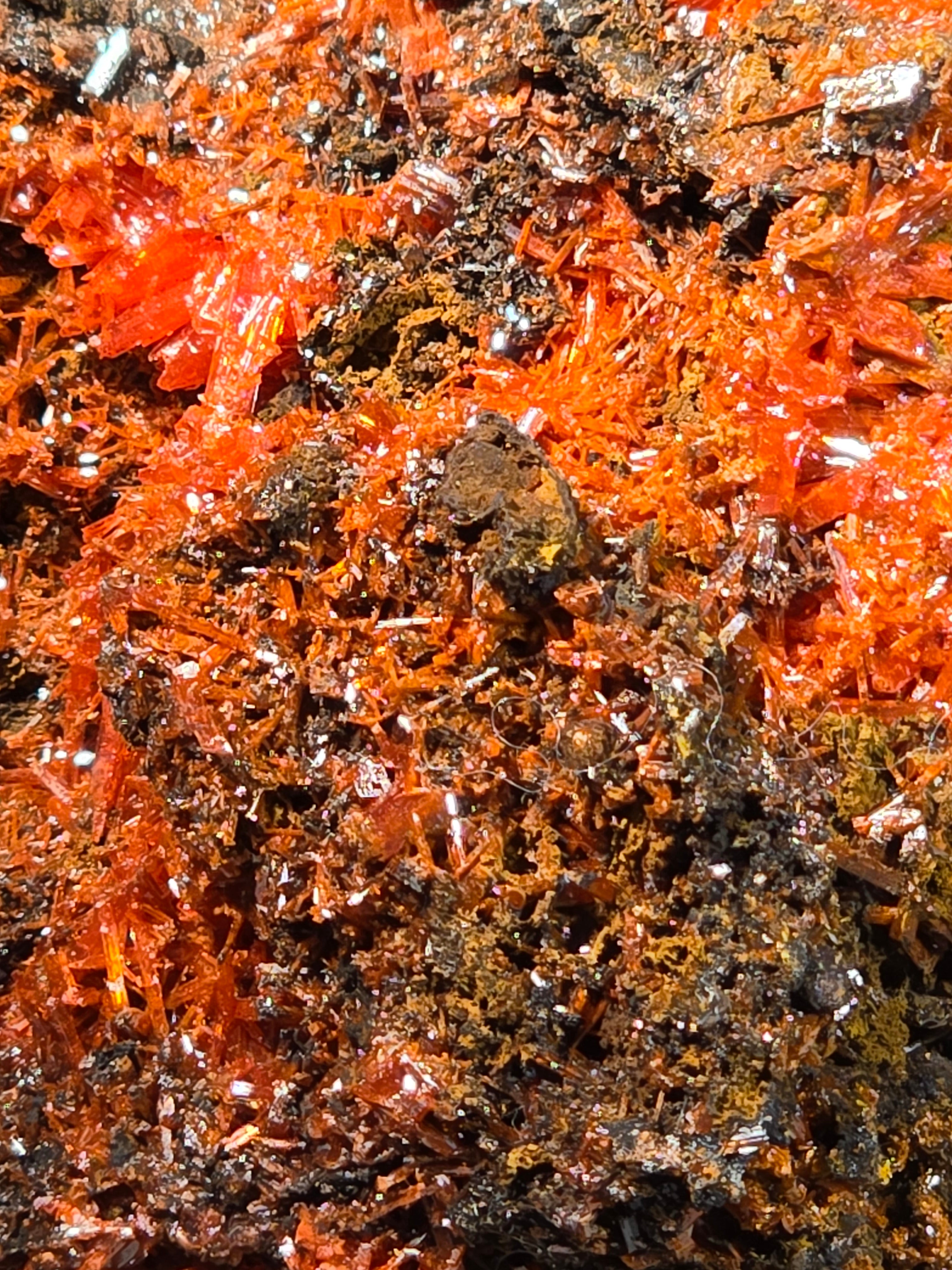CROCOITE (small cabinet)