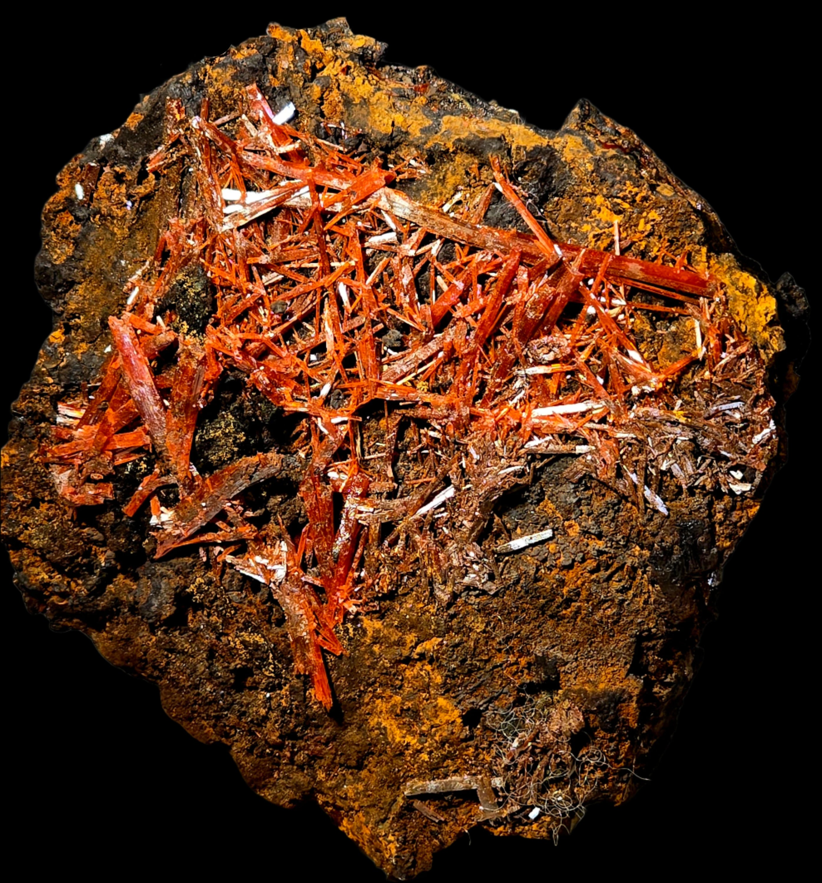 CROCOITE (small cabinet) longest crystal 54 mm