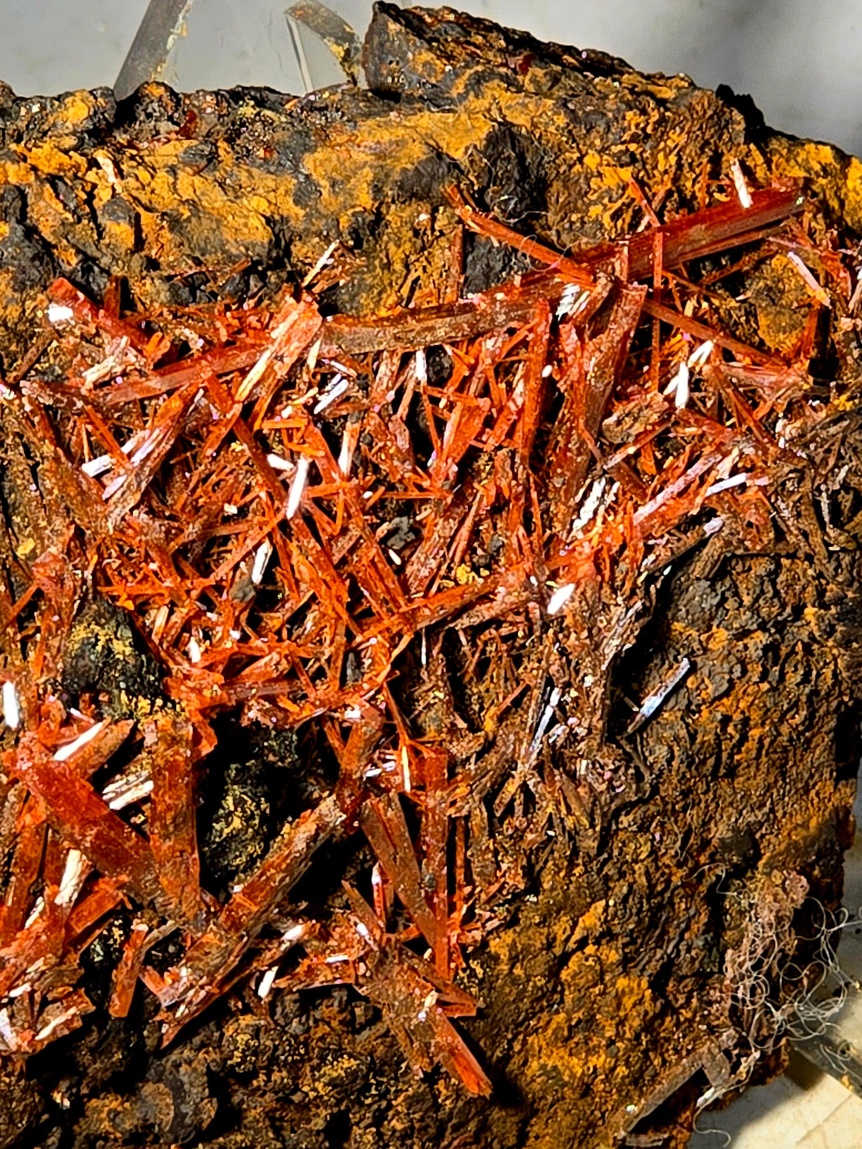 CROCOITE (small cabinet) longest crystal 54 mm