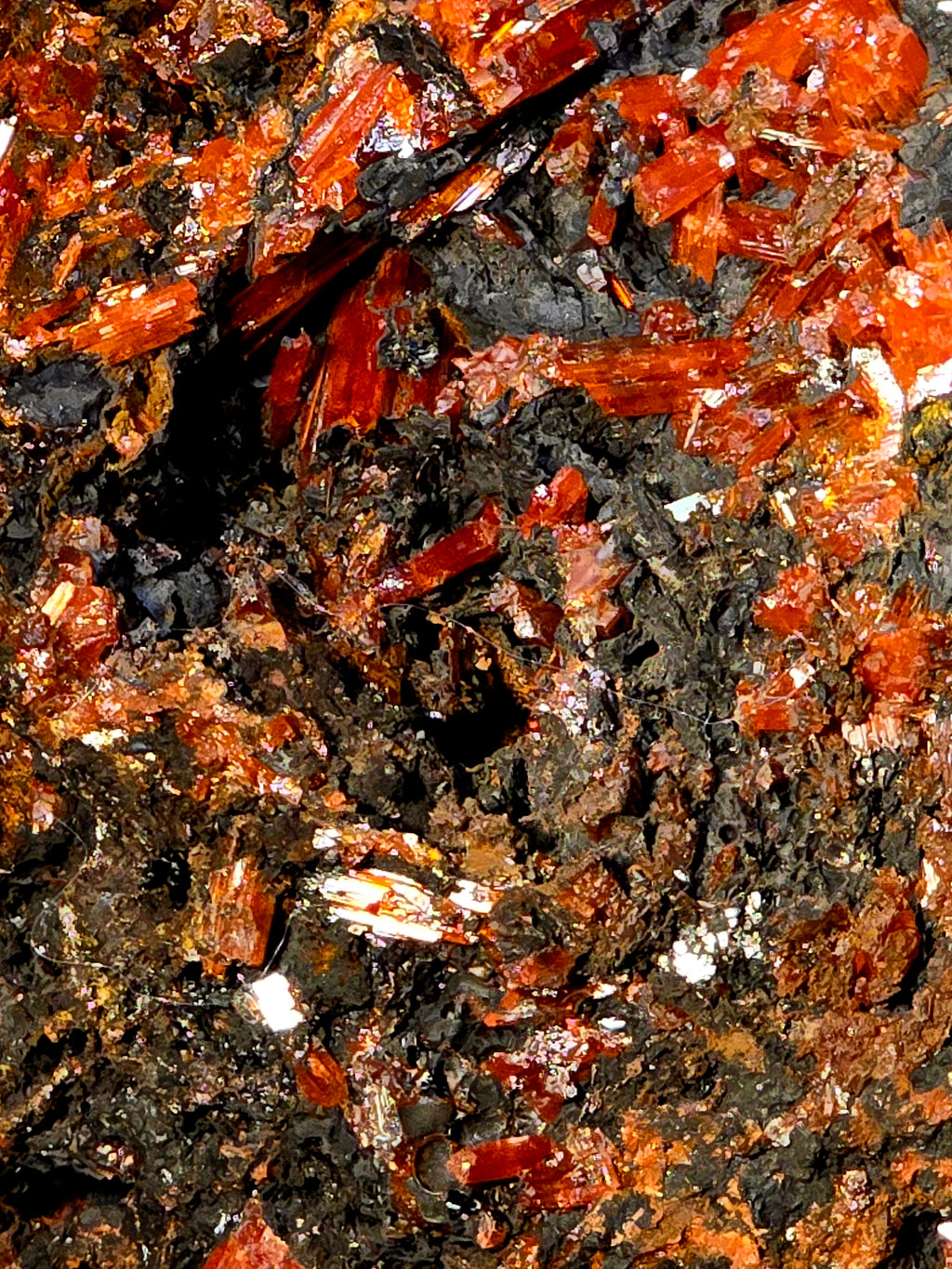 CROCOITE (cabinet)
