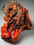 CROCOITE, RED LEAD MINE, TASMANIA (small cabinet)