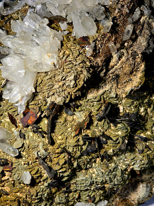 ANDRADITE (grand format), variété COLOPHONITE, MINE DE KARA, TASMANIE