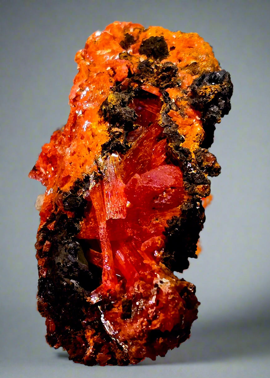 CROCOITE, MINE DE PLOMB ROUGE, TASMANIE (miniature) exceptionnel