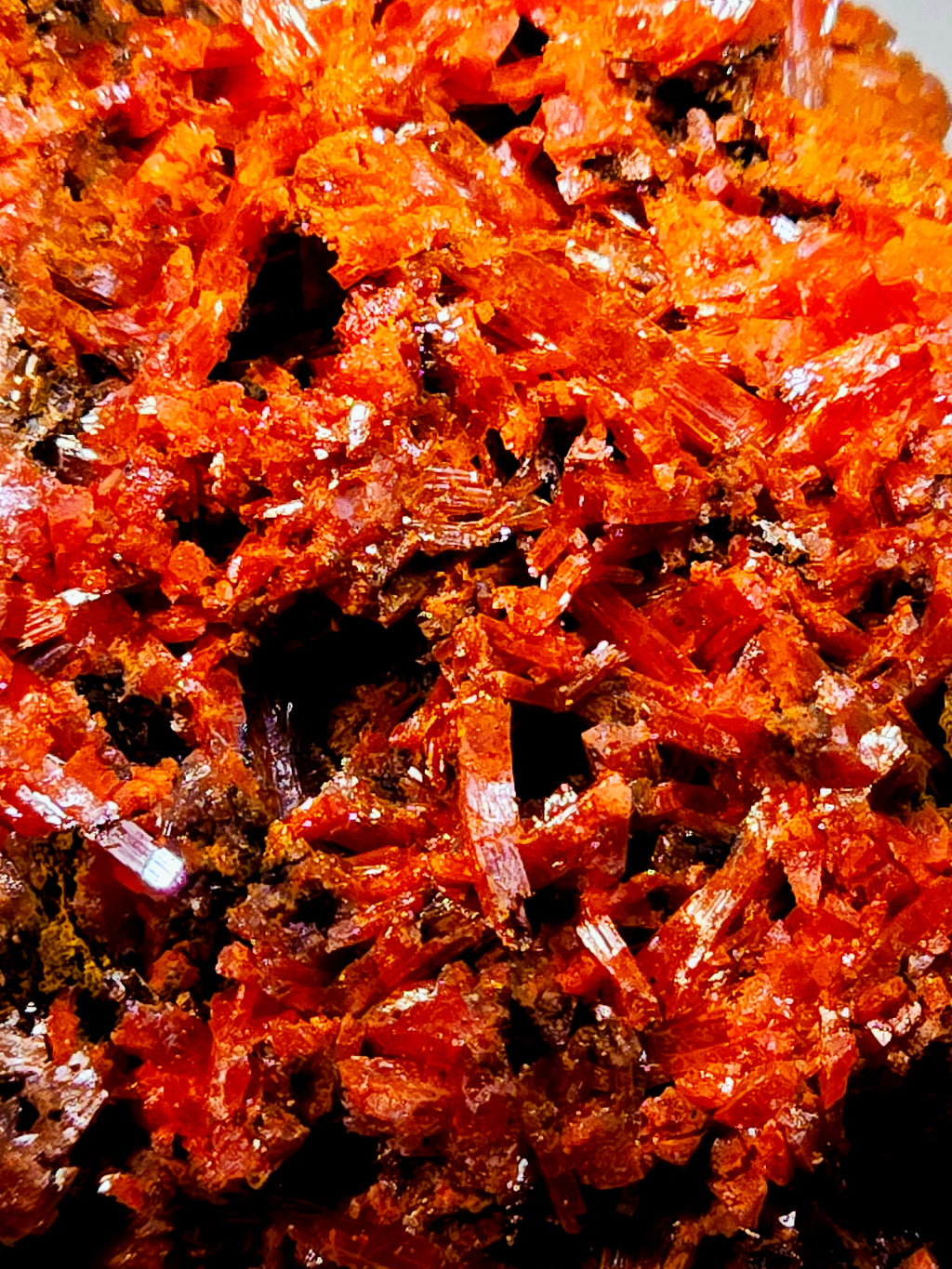 CROCOITE (miniature)