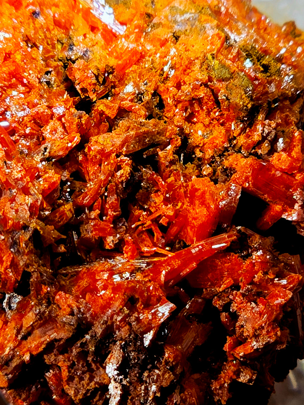CROCOITE (miniature)