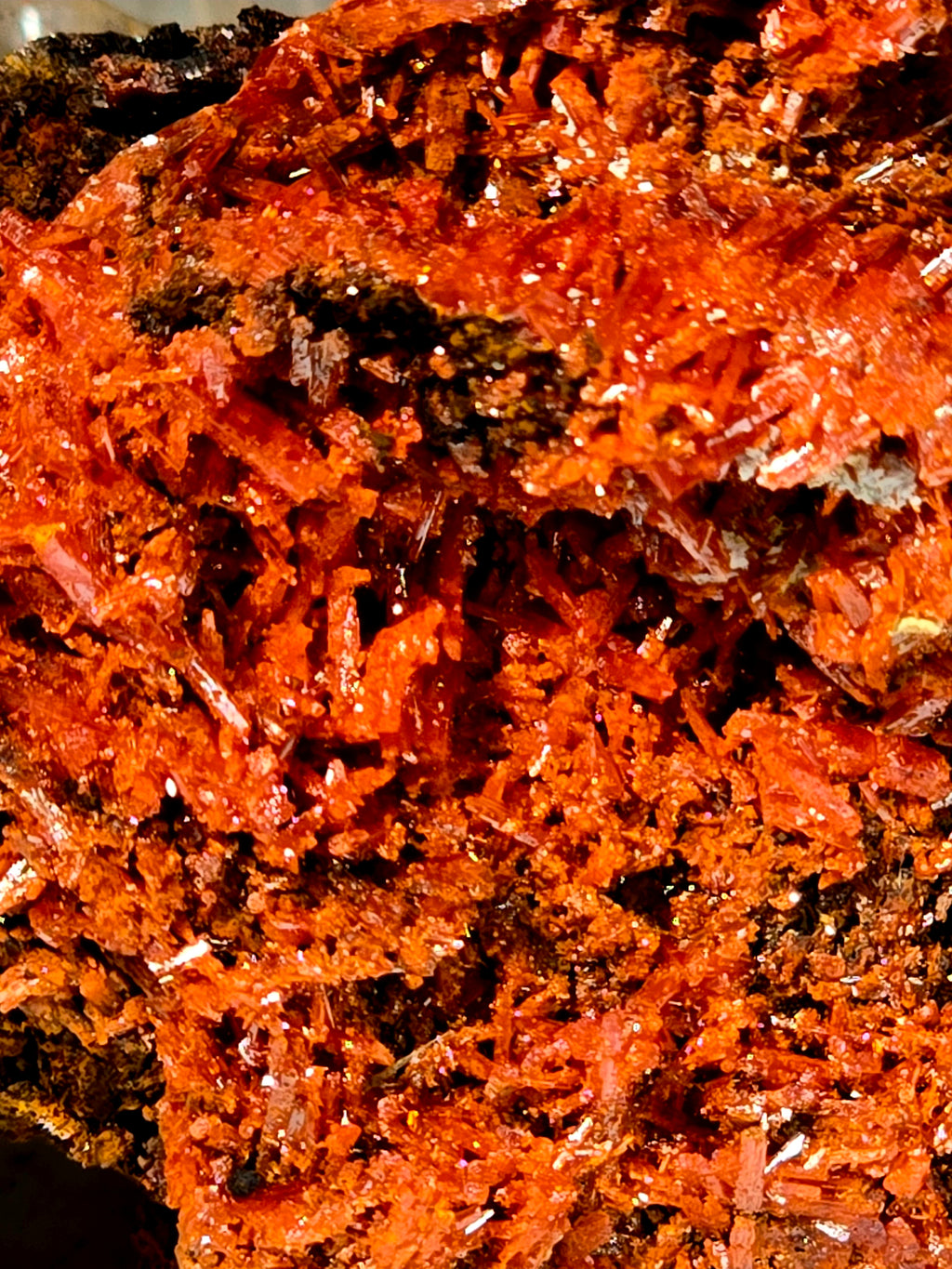 CROCOITE (miniature)