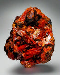 CROCOITE, MINE DE PLOMB ROUGE, TASMANIE (miniature)