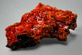 CROCOITE, MINE DE PLOMB ROUGE, TASMANIE (miniature)